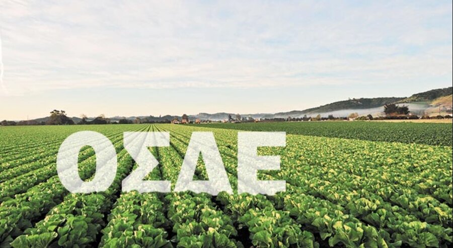 Ανοίγει σήμερα το ΟΣΔΕ – Οδηγός ΑΑΔΕ για διορθώσεις και διευκρινίσεις