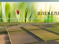 Έναρξη της διαδικασίας υποβολής αιτήσεων μεταβίβασης δικαιωμάτων 