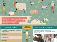 ΜΕΤΡΑ  ΒΙΟΑΣΦΑΛΕΙΑΣ  ΓΙΑ ΤΟΝ ΑΦΘΩΔΗ ΠΥΡΕΤΟ  
