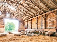 Με παράβολο 300 ευρώ η νομιμοποίηση σταυλικών εγκαταστάσεων