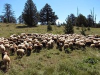 Από 29 Ιανουαρίου ξανά οι ενστάσεις για την εξισωτική του 2020