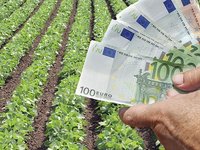 Μέχρι την 1η Ιουλίου παράταση για μεταβίβαση δικαιωμάτων ενιαίας ενίσχυσης
