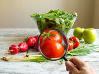 Υποχρεώσεις αγροτών & εμπόρων - «Ψηφιακή πλατφόρμα» (Ν. 4492/2017) – 12 επισημάνσεις
