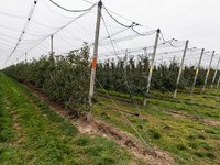 Εξάμηνη παράταση έως 15 Ιουλίου για τις αιτήσεις πληρωμής αντιχαλαζικών