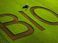 ΑΝΑΚΟΙΝΩΣΗ ΠΡΟΣ ΒΙΟΛΟΓΙΚΟΥΣ ΠΑΡΑΓΩΓΟΥΣ