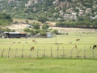 Εθνικό Απόθεμα: Αναθεώρηση χορήγησης Δικαιωμάτων