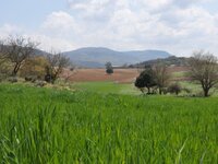 Μεταβίβαση Δικαιωμάτων 2023: Ενεργοποιήθηκε η εφαρμογή