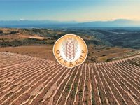 Δημοσιεύτηκαν οι δικαιούχοι της Εξισωτικής του 2017 – Μέχρι τις 12/12 η υποβολή ενστάσεων