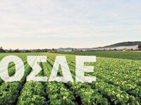 Ανοίγει σήμερα το ΟΣΔΕ – Οδηγός ΑΑΔΕ για διορθώσεις και διευκρινίσεις