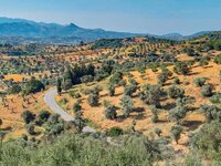 Μέχρι 7 Σεπτεμβρίου διορθώσεις ΟΣΔΕ του 2025 και ακολουθεί η πληρωμή τον Οκτώβριο από την ΑΑΔΕ