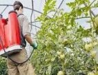 Έως 25 Οκτώβρη ηλεκτρονικές συνταγές σκευασμάτων