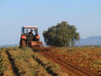 Παράταση έως 2 Ιουλίου για αιτήσεις ένταξης στο υπομέτρο 6.3