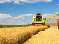 Παράταση για την υποβολή των συμβάσεων συμβολαιακής γεωργίας στην ΑΑΔΕ έως τις 31 Μαρτίου