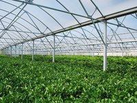 Θερμοκήπια: τι αλλάζει στις τεχνικές προδιαγραφές κατασκευής τους