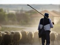 Ένταξη 354 δικαιούχων στη συμπληρωματική πρόσκληση για τη Βιολογική Κτηνοτροφία