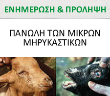 Νέοι Αγρότες