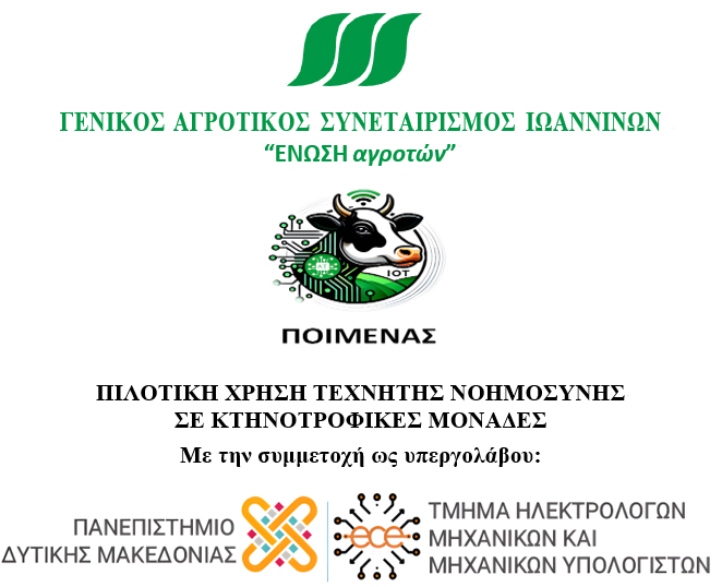 Ταυτότητα του έργου
